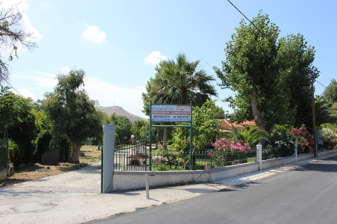 Στούντιο Άσπα Διαμέρισμα Σκάλα Ερεσού Εξωτερικό φωτογραφία